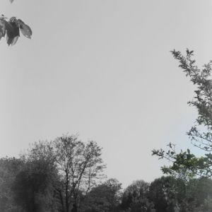 Aéro 05 05 2018 17